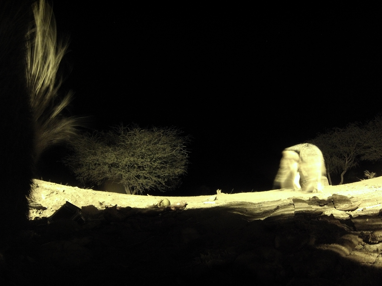 [11056] 2016_06_23_19_55_25_Africa_Hero3-Silver_Edition_IMG__01353.jpg