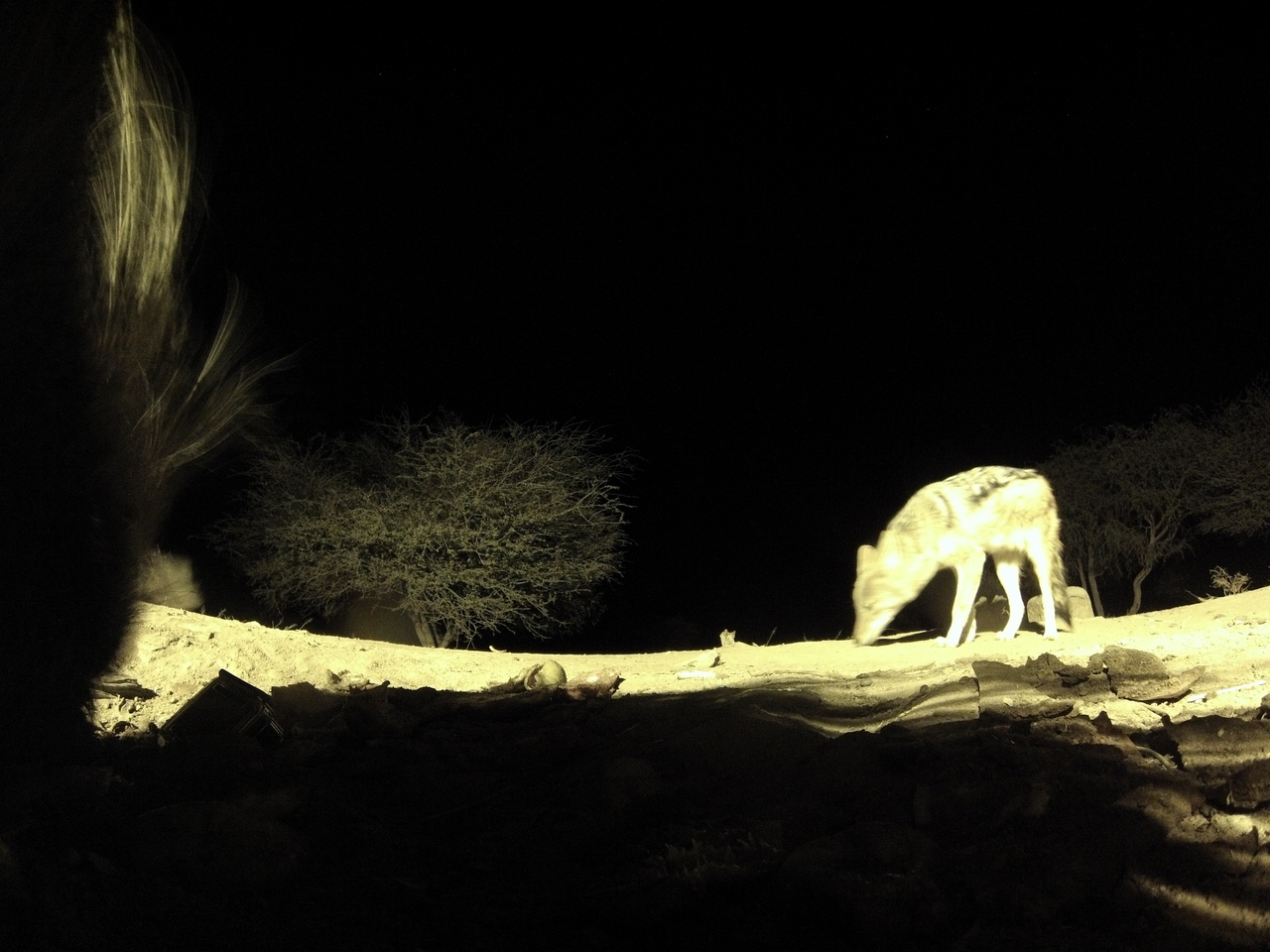 [11059] 2016_06_23_19_55_29_Africa_Hero3-Silver_Edition_IMG__00906.jpg