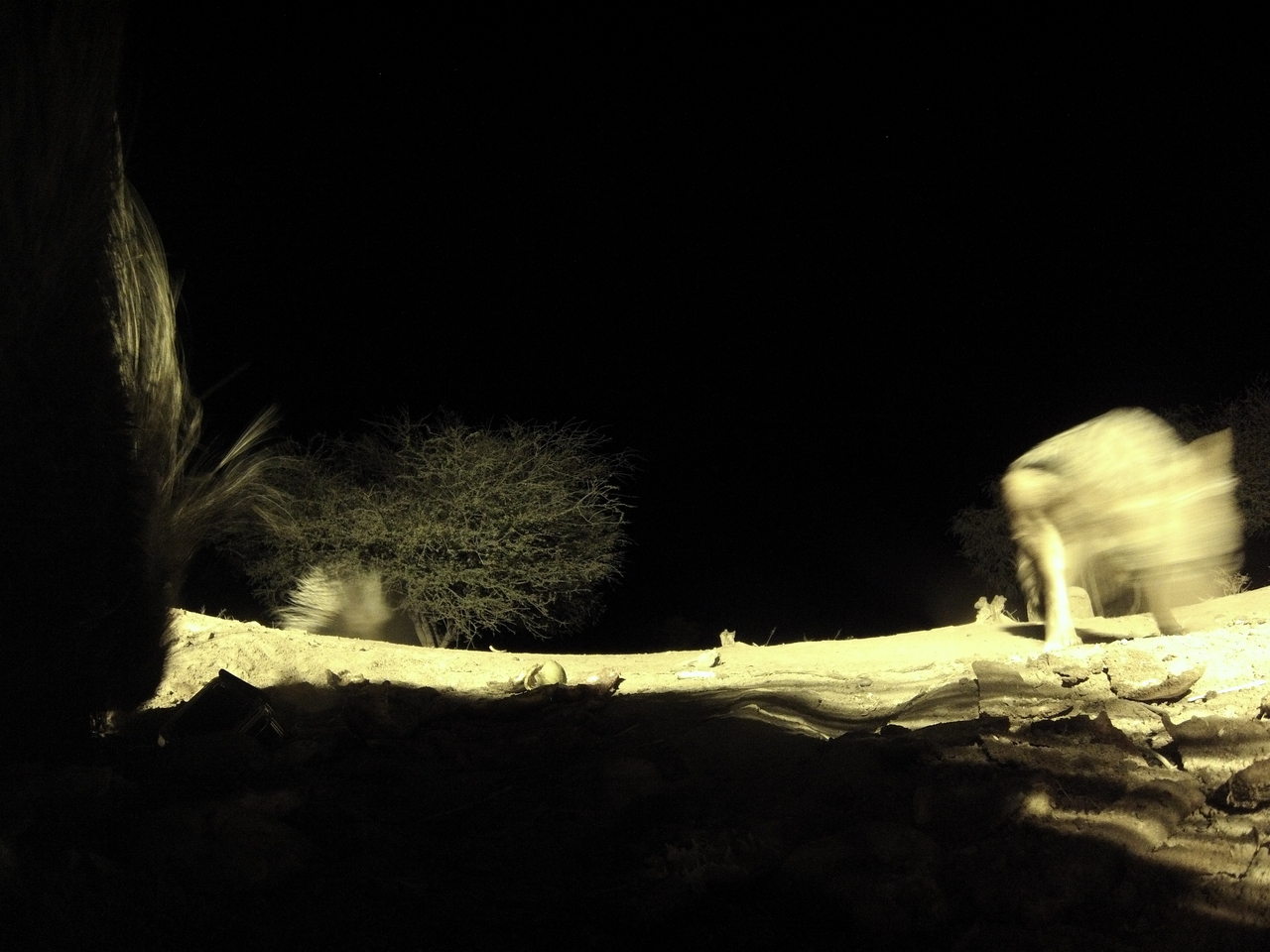 [11063] 2016_06_23_19_55_33_Africa_Hero3-Silver_Edition_IMG__00907.jpg