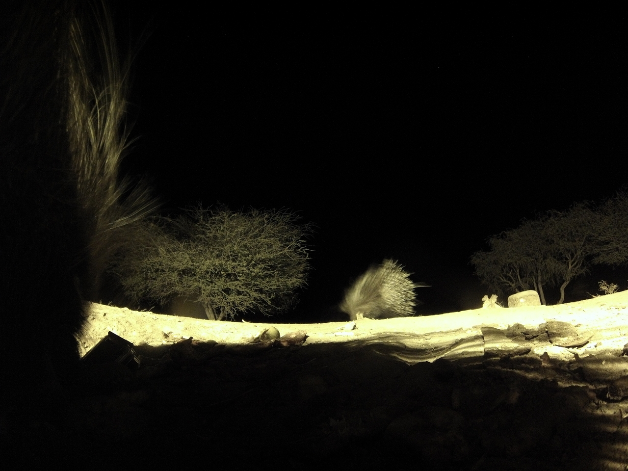 [11078] 2016_06_23_19_55_49_Africa_Hero3-Silver_Edition_IMG__01359.jpg