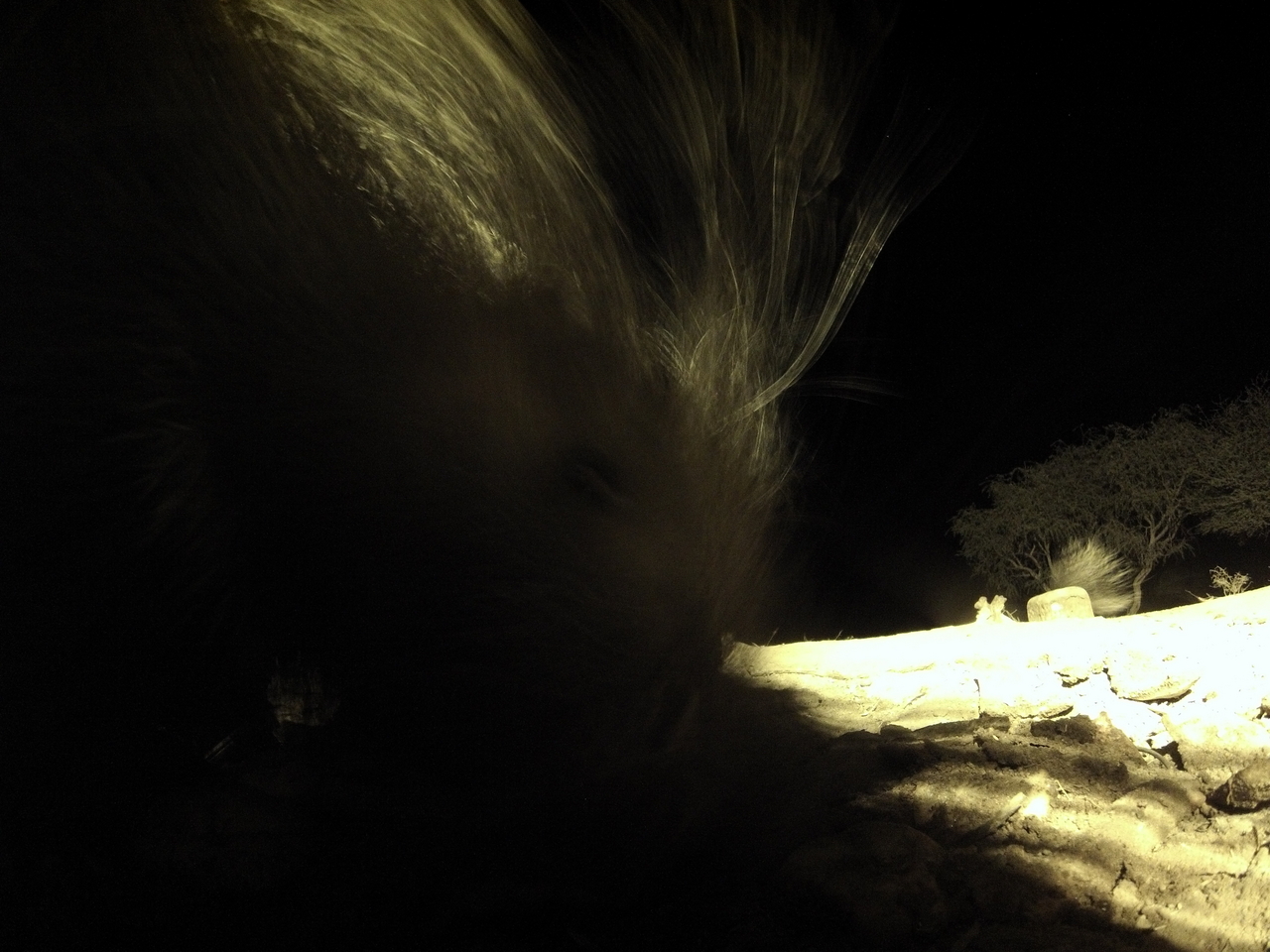 [11095] 2016_06_23_19_56_09_Africa_Hero3-Silver_Edition_IMG__00916.jpg