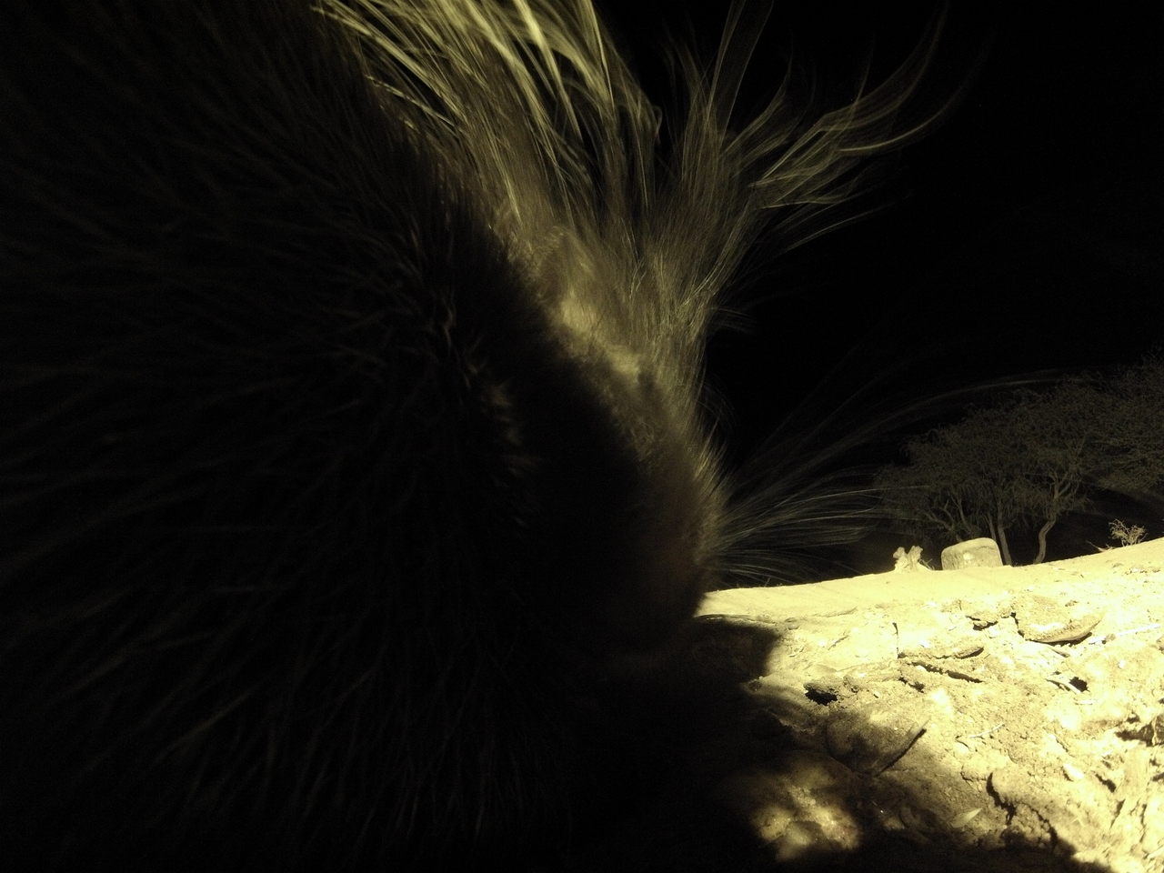 [11106] 2016_06_23_19_56_21_Africa_Hero3-Silver_Edition_IMG__01367.jpg