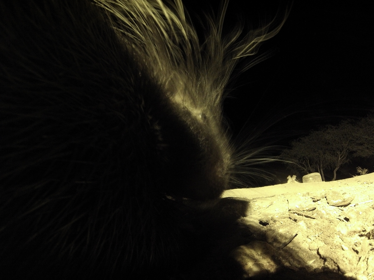 [11110] 2016_06_23_19_56_25_Africa_Hero3-Silver_Edition_IMG__01368.jpg