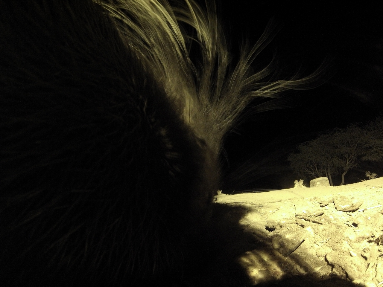 [11114] 2016_06_23_19_56_29_Africa_Hero3-Silver_Edition_IMG__01369.jpg