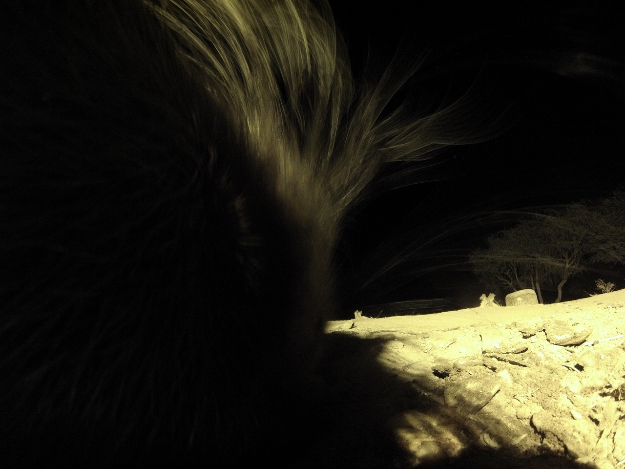 [11121] 2016_06_23_19_56_37_Africa_Hero3-Silver_Edition_IMG__00923.jpg