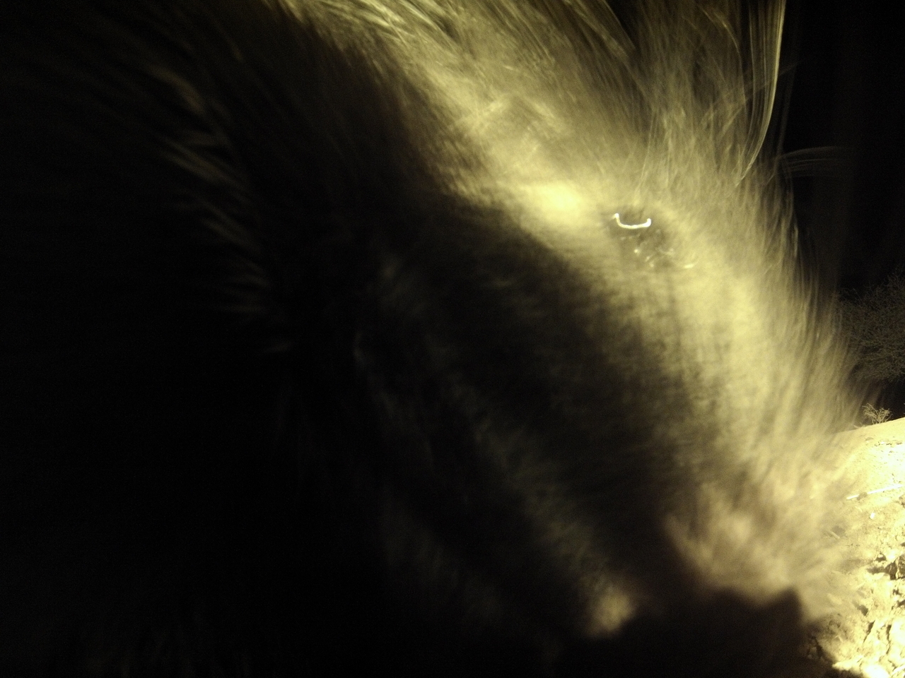 [11125] 2016_06_23_19_56_41_Africa_Hero3-Silver_Edition_IMG__00924.jpg