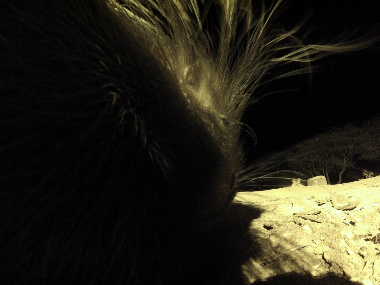 [11131] 2016_06_23_19_56_49_Africa_Hero3-Silver_Edition_IMG__00926.jpg