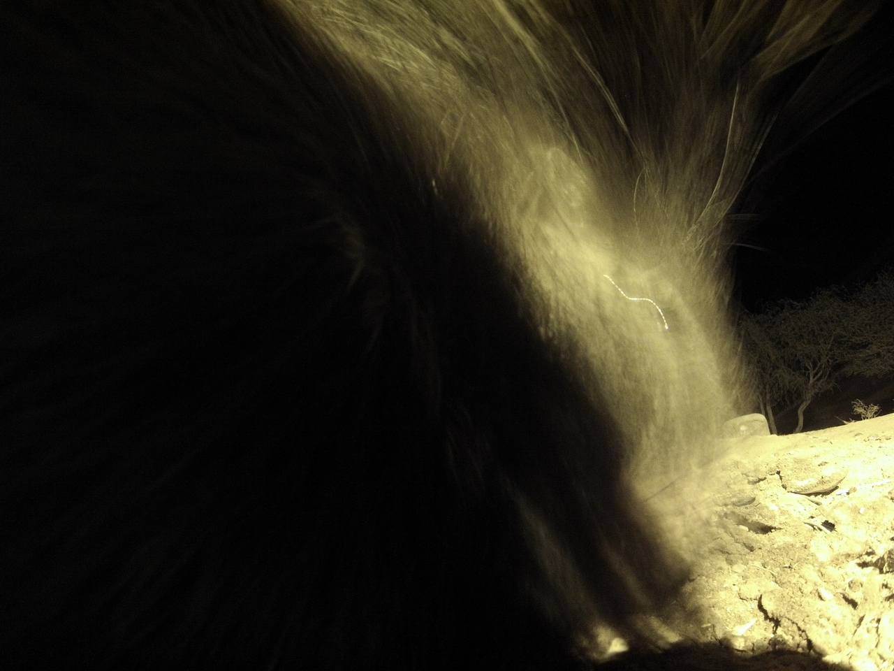 [11139] 2016_06_23_19_56_57_Africa_Hero3-Silver_Edition_IMG__00928.jpg