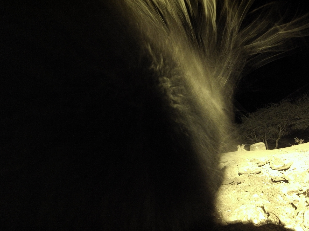 [11146] 2016_06_23_19_57_05_Africa_Hero3-Silver_Edition_IMG__01378.jpg