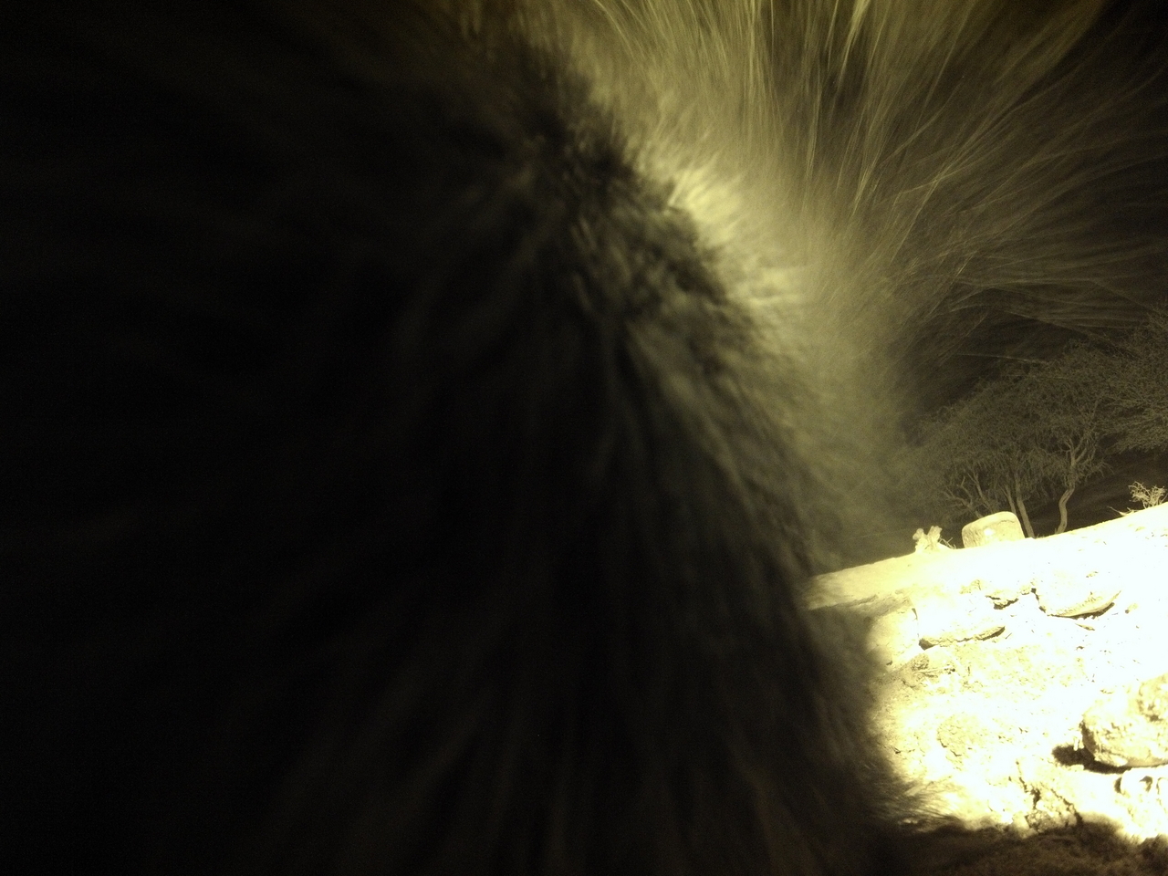 [11154] 2016_06_23_19_57_13_Africa_Hero3-Silver_Edition_IMG__01380.jpg