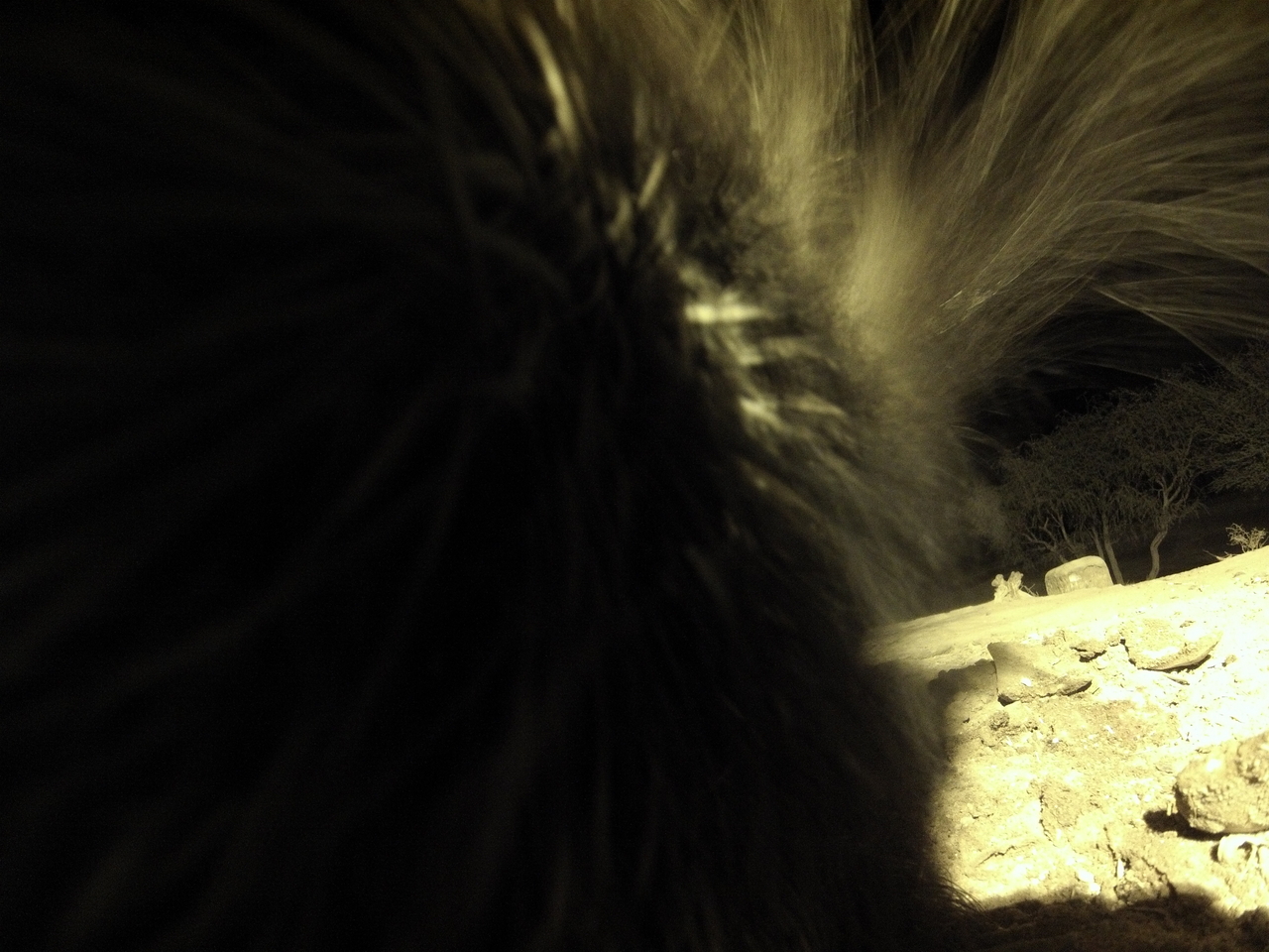 [11167] 2016_06_23_19_57_29_Africa_Hero3-Silver_Edition_IMG__00936.jpg