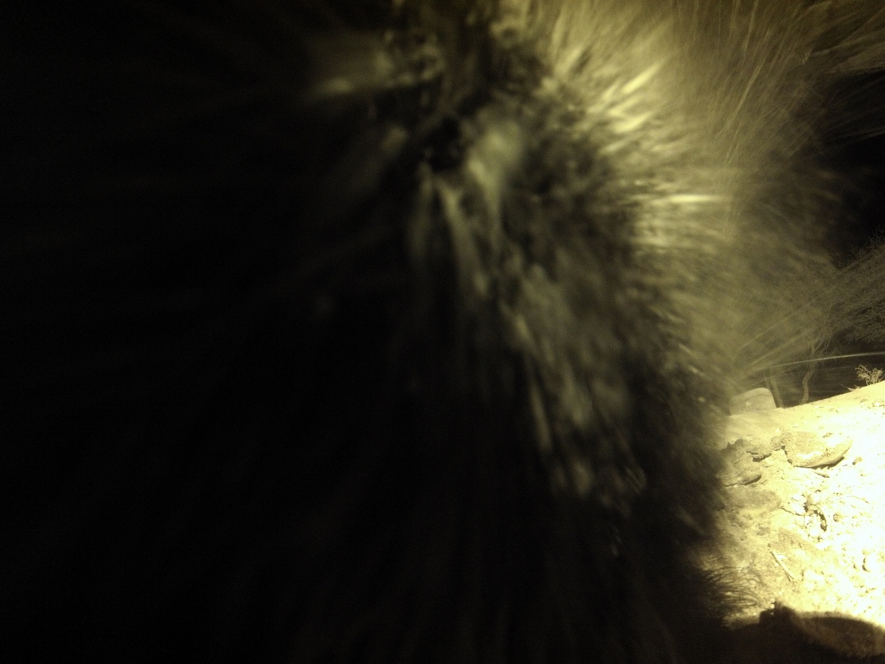 [11176] 2016_06_23_19_57_37_Africa_Hero3-Silver_Edition_IMG__01386.jpg