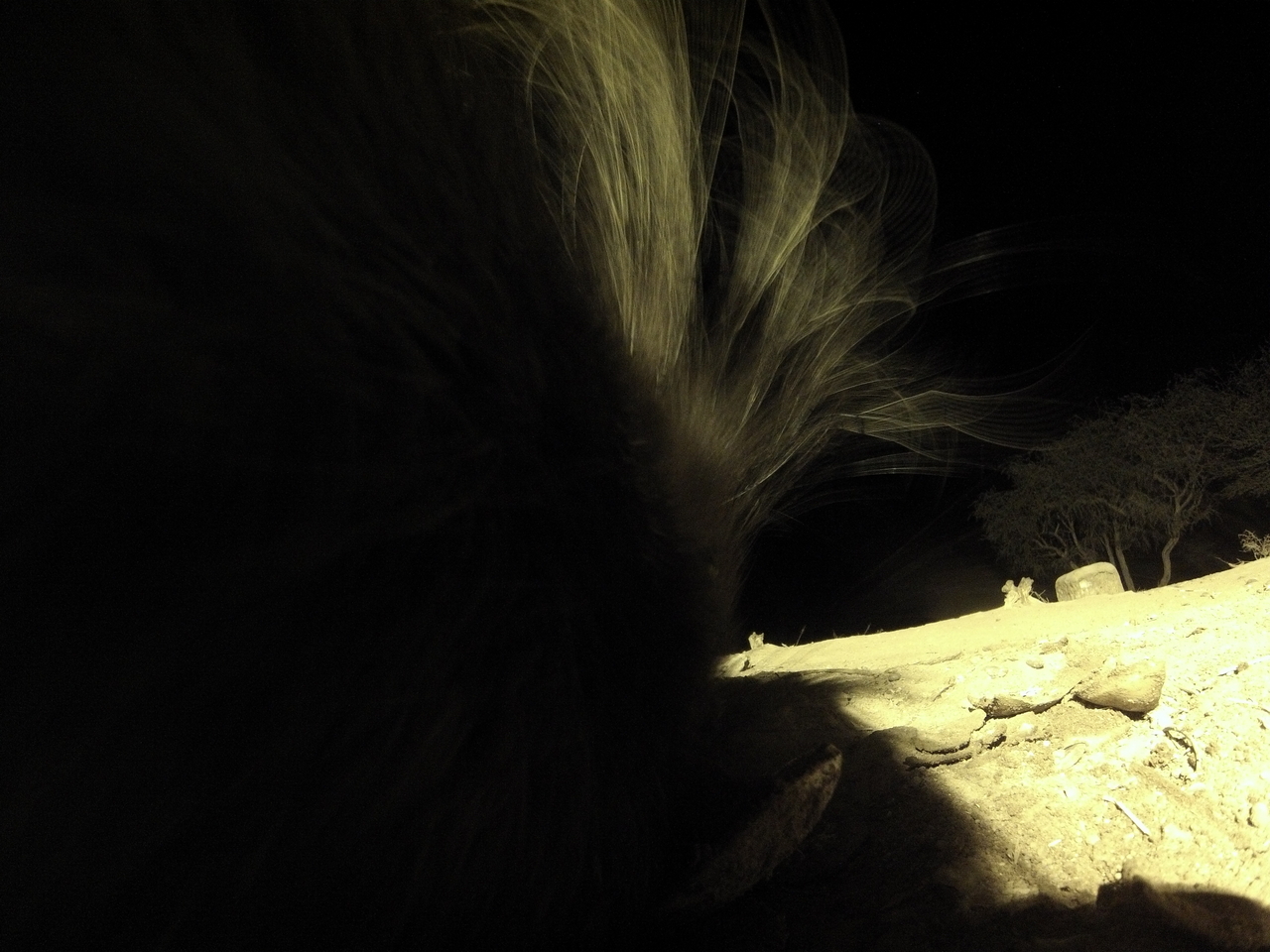 [11186] 2016_06_23_19_57_49_Africa_Hero3-Silver_Edition_IMG__01389.jpg