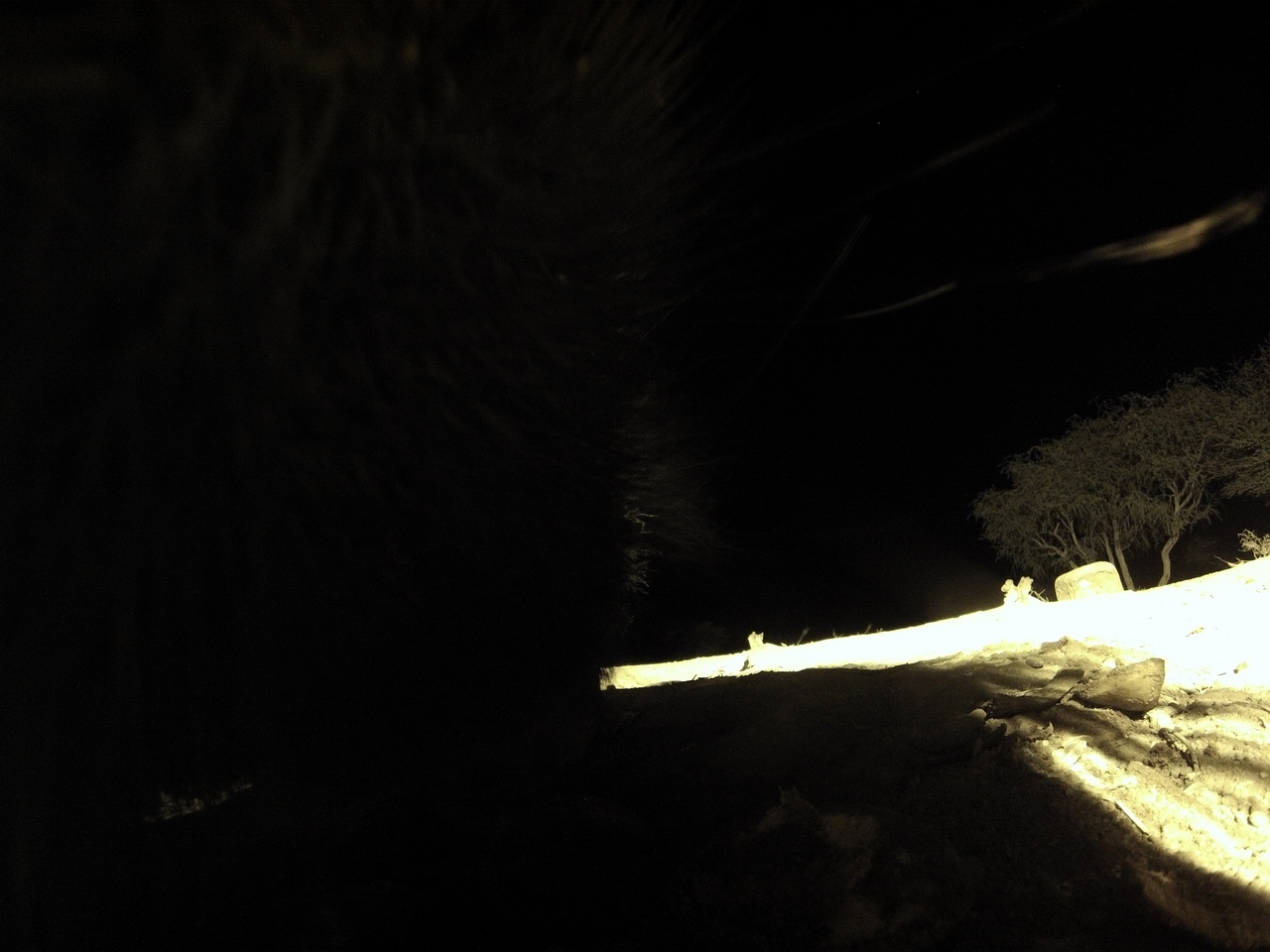 [11208] 2016_06_23_19_58_13_Africa_Hero3-Silver_Edition_IMG__00947.jpg