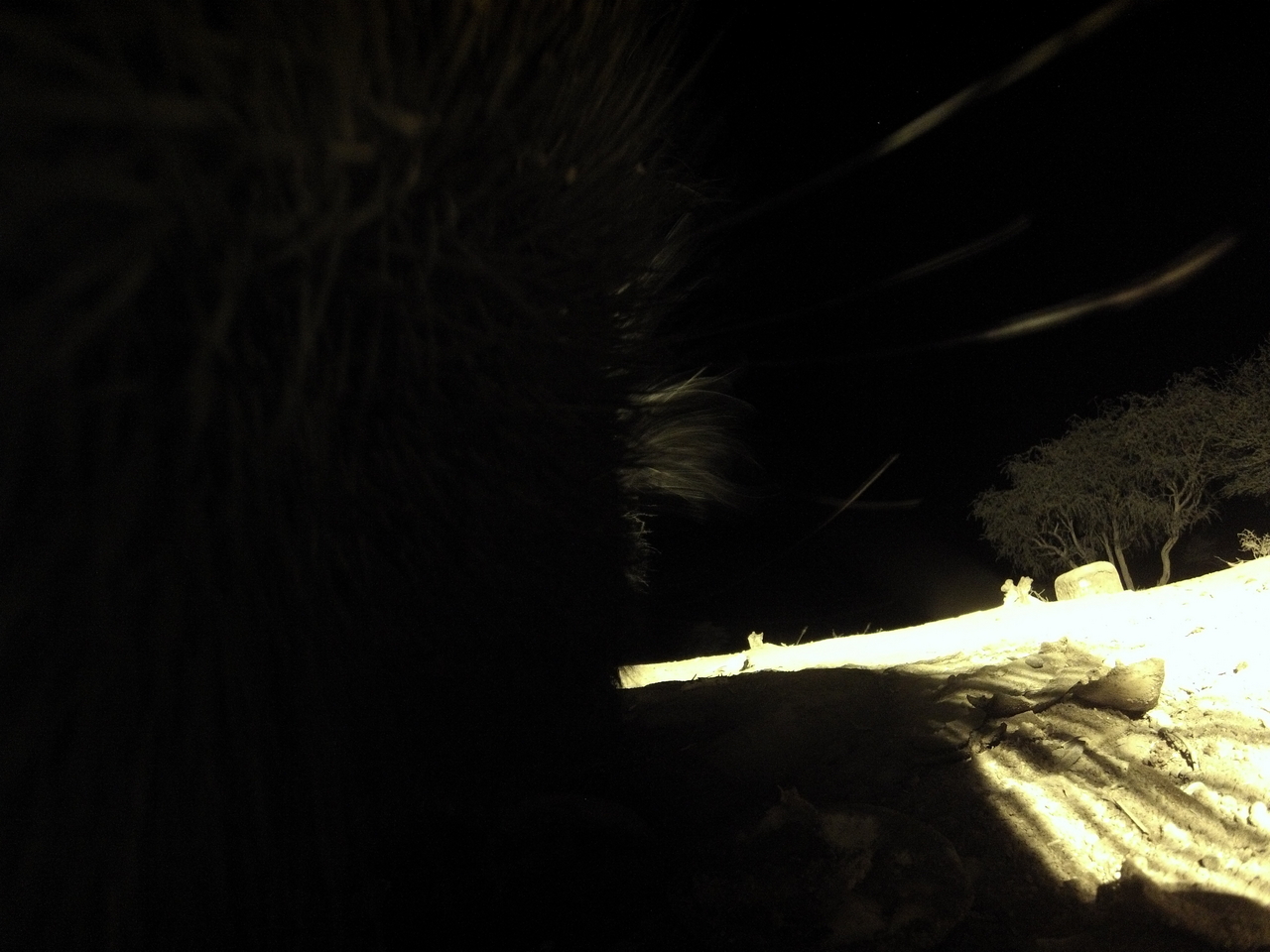 [11217] 2016_06_23_19_58_21_Africa_Hero3-Silver_Edition_IMG__01397.jpg