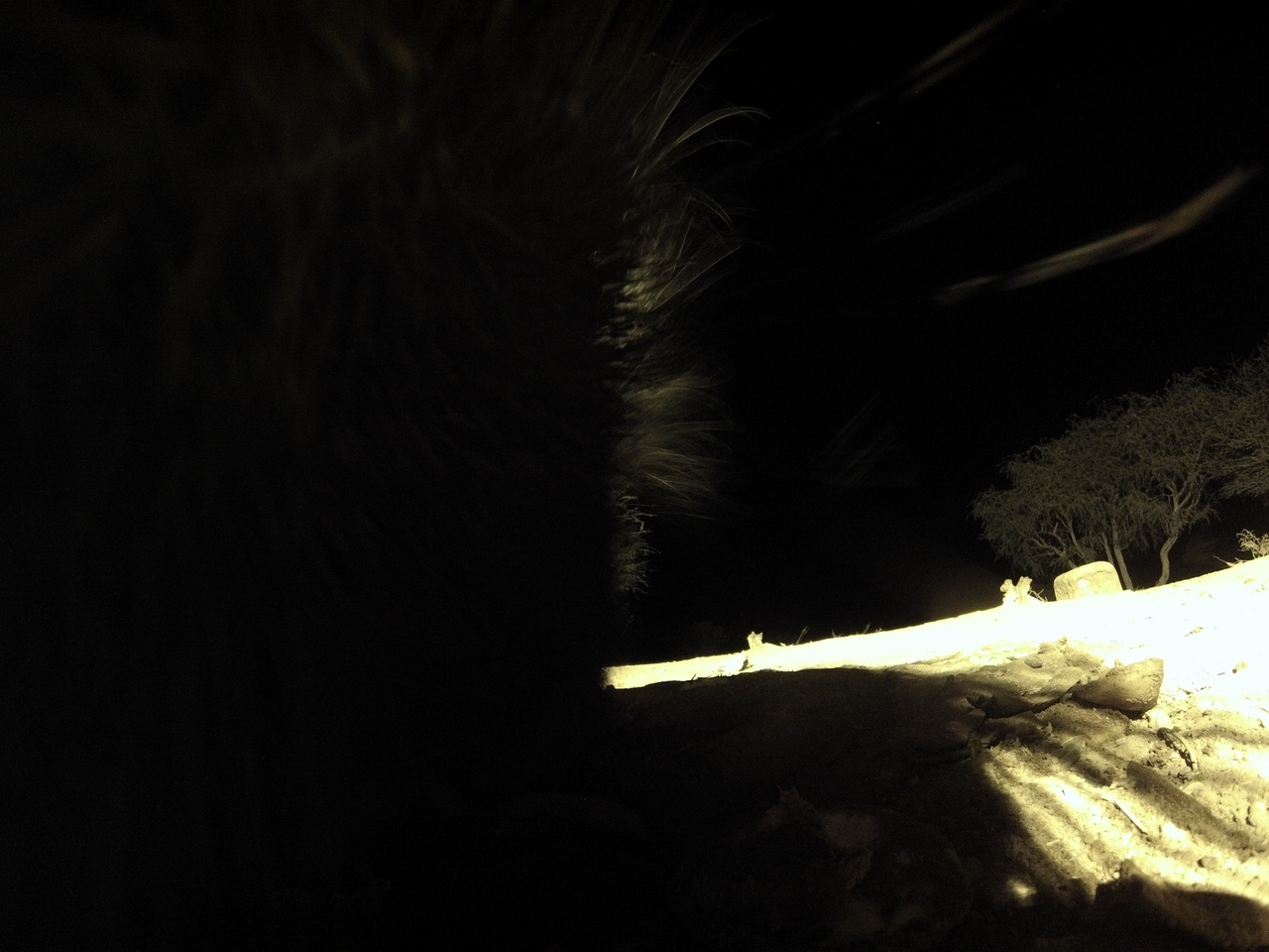 [11221] 2016_06_23_19_58_25_Africa_Hero3-Silver_Edition_IMG__00950.jpg