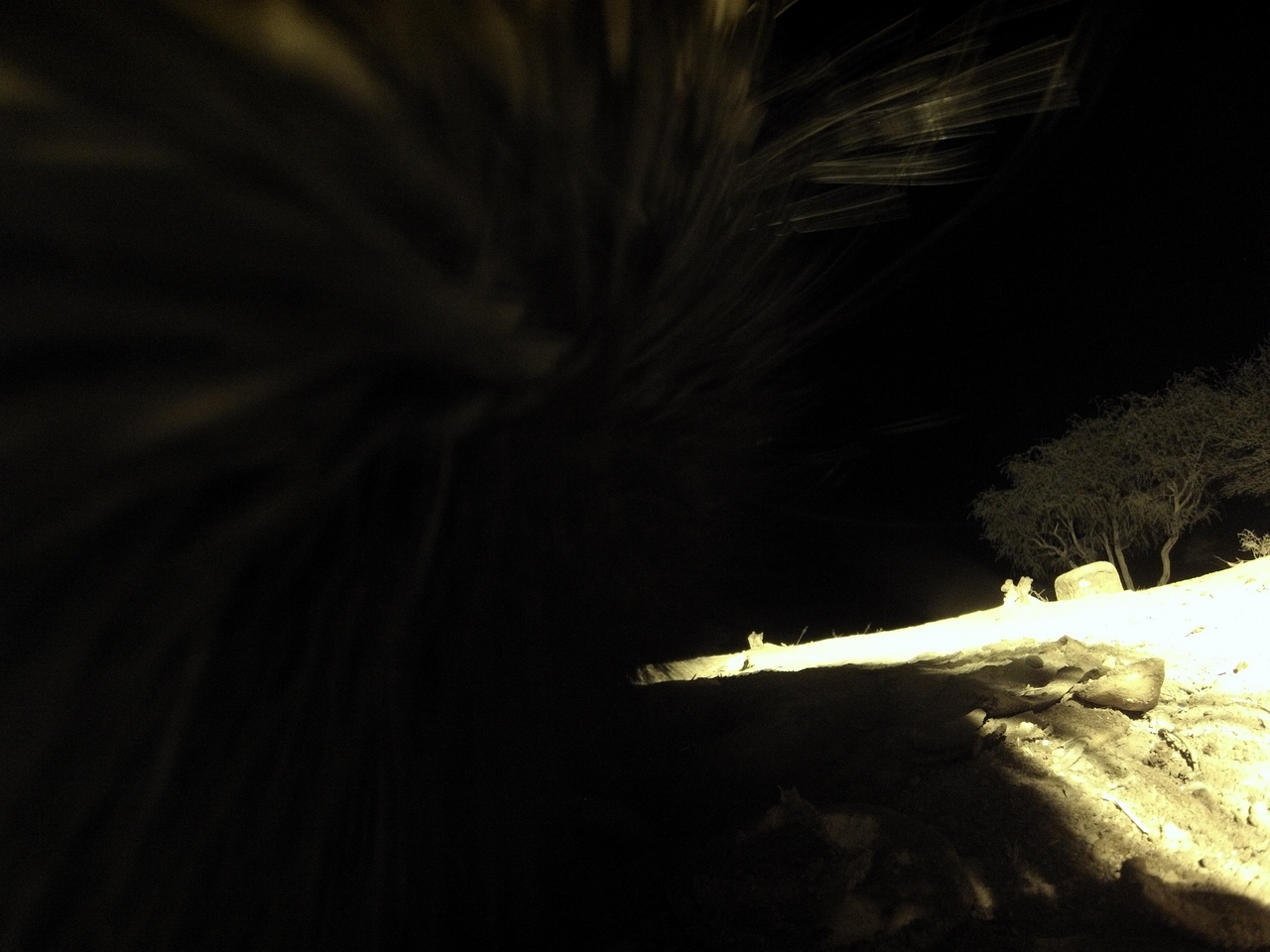 [11227] 2016_06_23_19_58_29_Africa_Hero3-Silver_Edition_IMG__01399.jpg