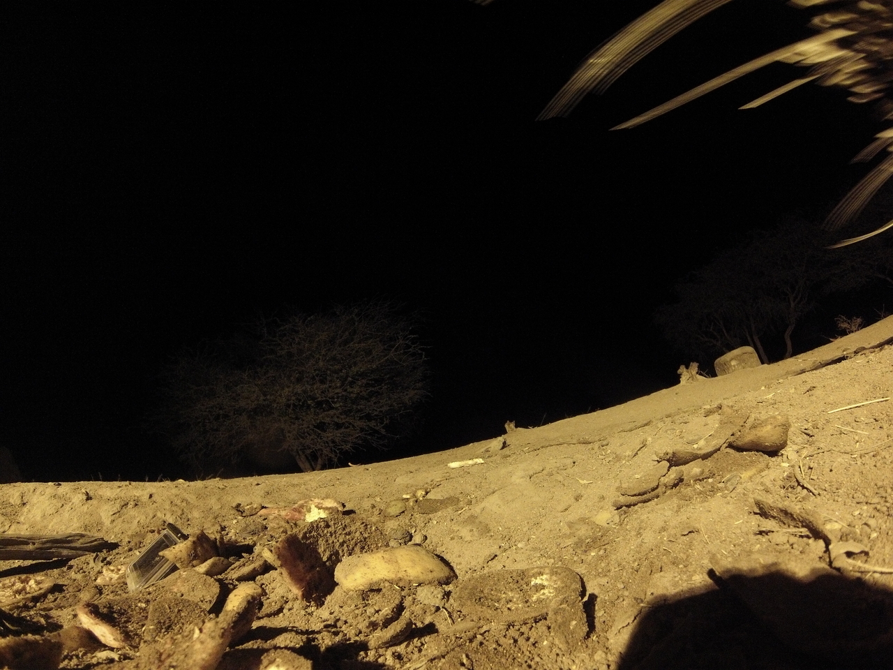 [11247] 2016_06_23_19_58_44_Africa_Hero3-Silver_Edition_IMG__00955.jpg