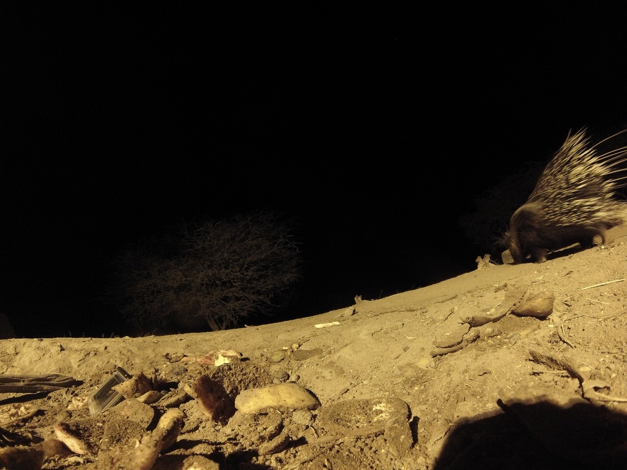 [11271] 2016_06_23_19_59_02_Africa_Hero3-Silver_Edition_IMG__01408.jpg