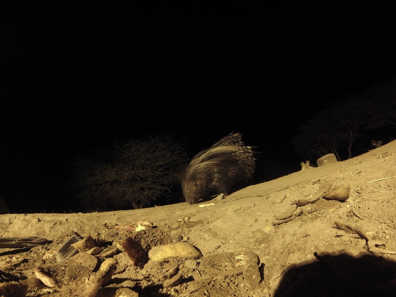 [11284] 2016_06_23_19_59_12_Africa_Hero3-Silver_Edition_IMG__01411.jpg