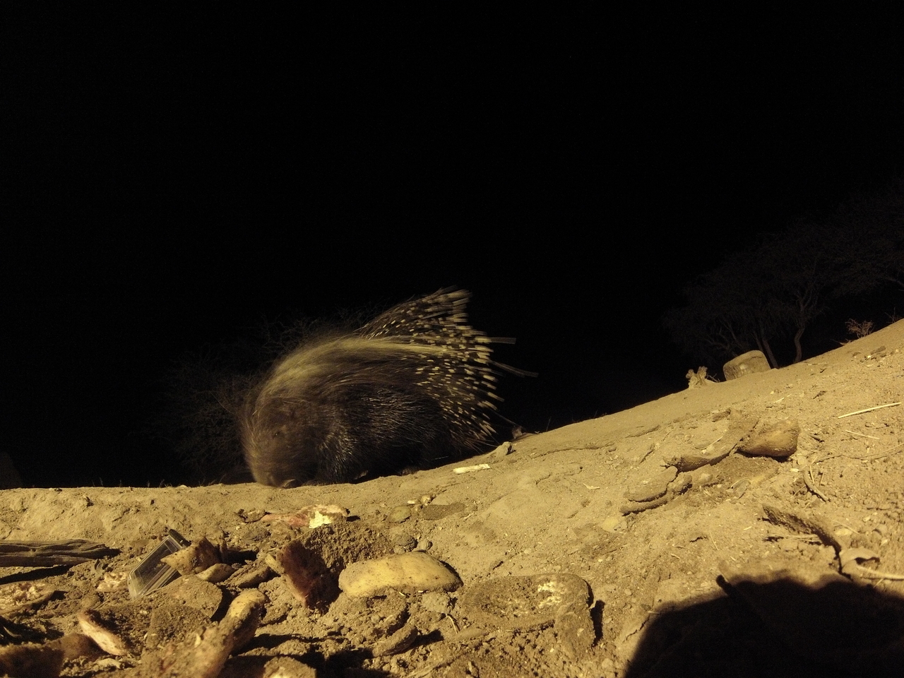 [11295] 2016_06_23_19_59_20_Africa_Hero3-Silver_Edition_IMG__01414.jpg