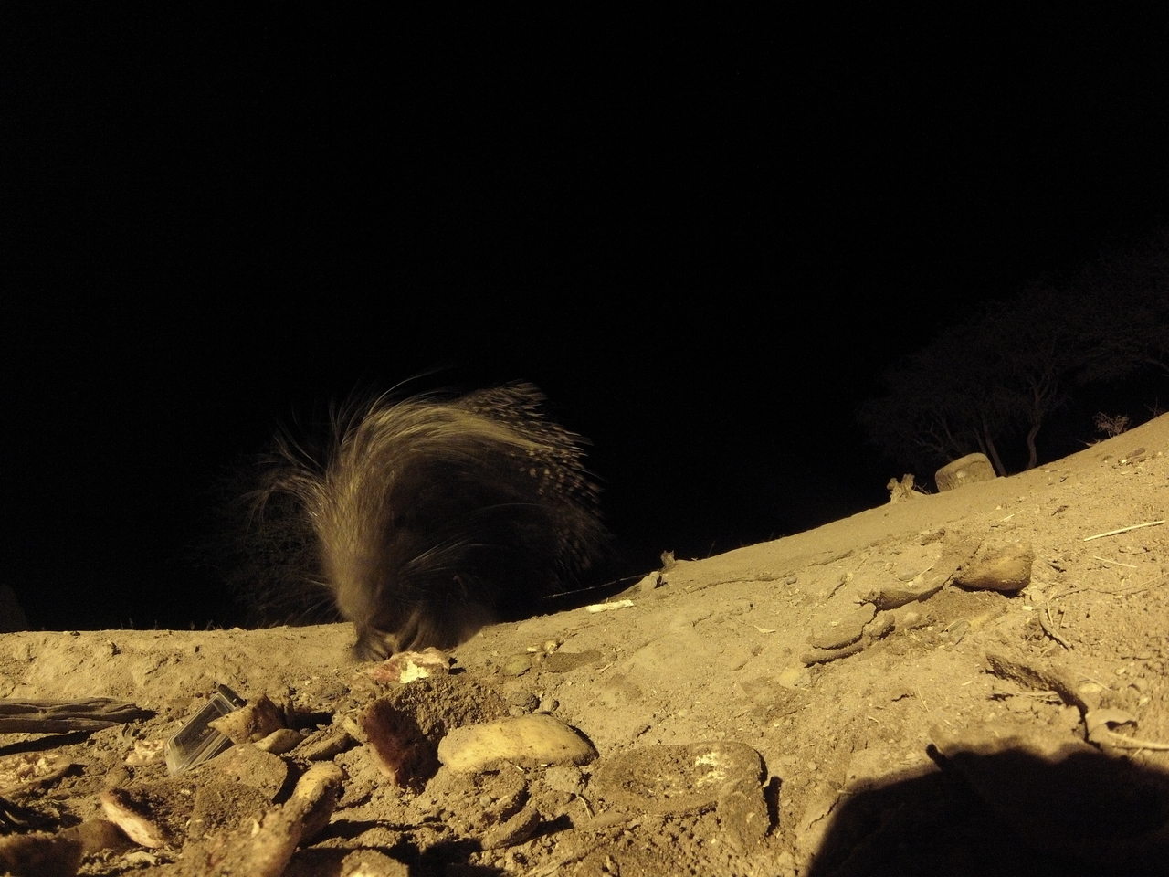 [11335] 2016_06_23_19_59_50_Africa_Hero3-Silver_Edition_IMG__00030.jpg