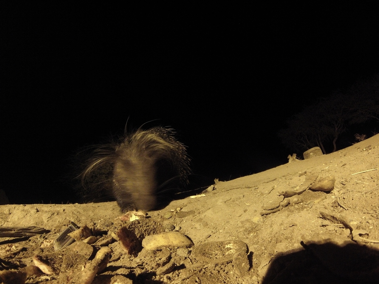 [11355] 2016_06_23_20_00_04_Africa_Hero3-Silver_Edition_IMG__01428.jpg