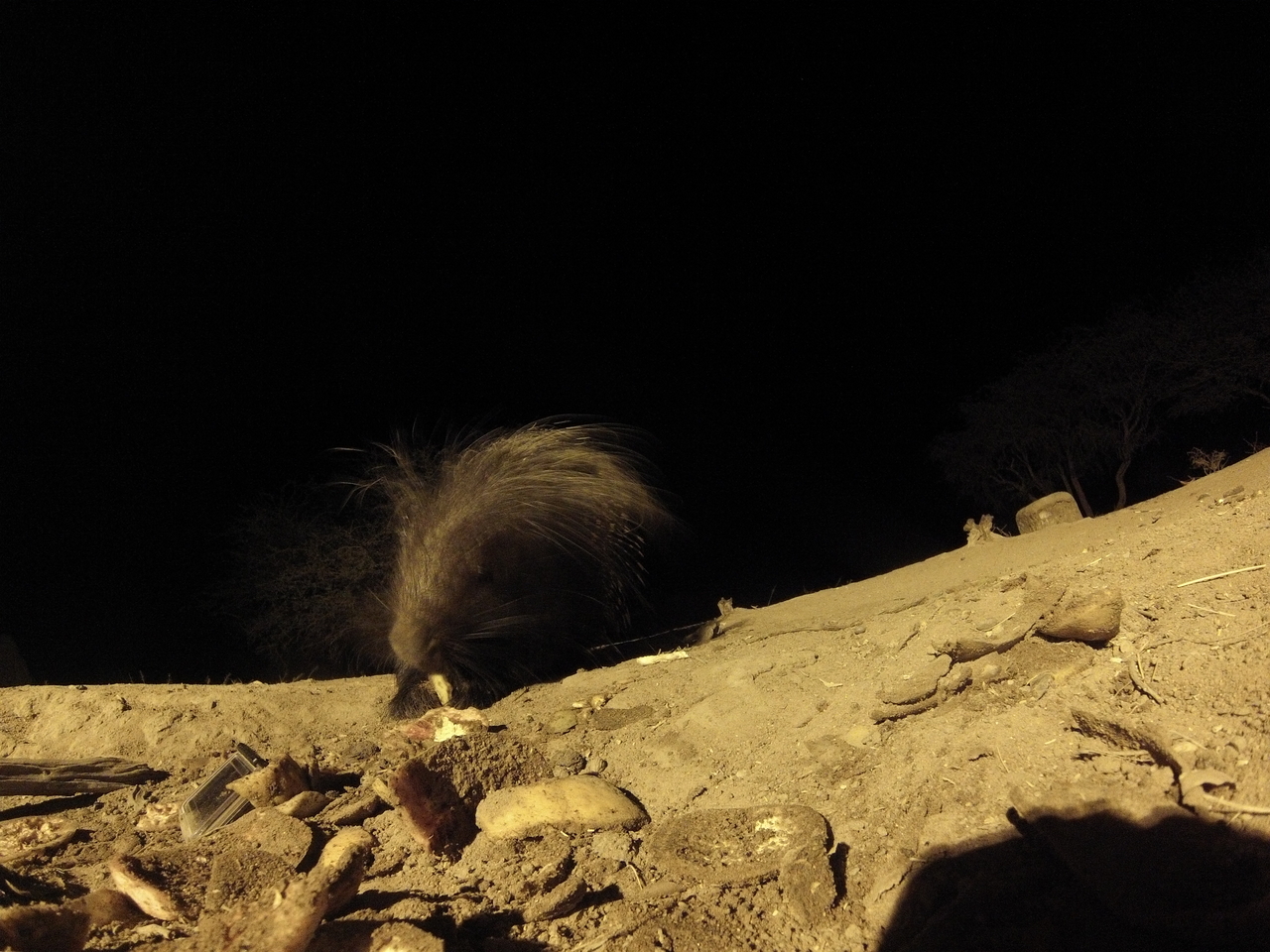 [11364] 2016_06_23_20_00_12_Africa_Hero3-Silver_Edition_IMG__00982.jpg