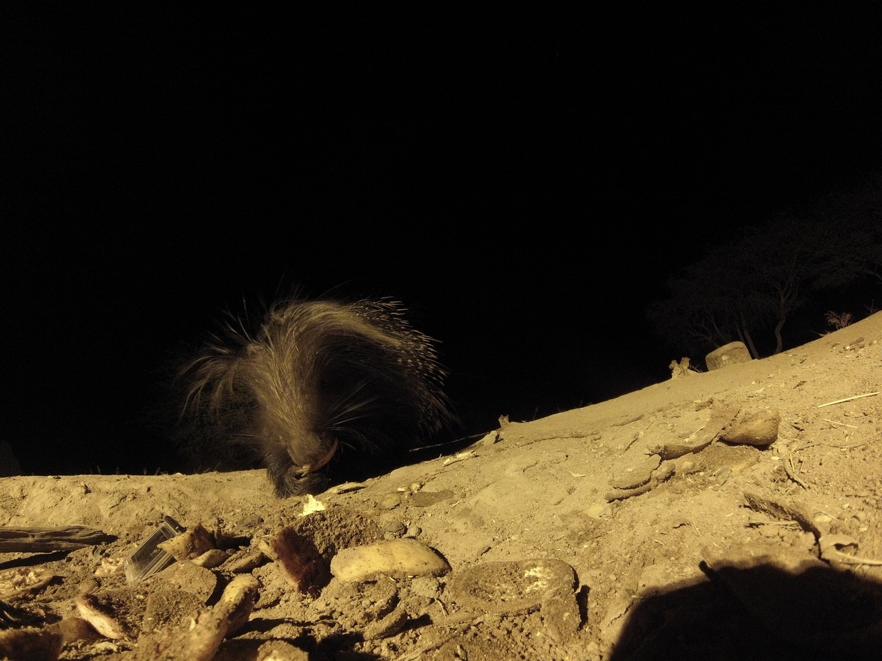 [11399] 2016_06_23_20_00_40_Africa_Hero3-Silver_Edition_IMG__01438.jpg