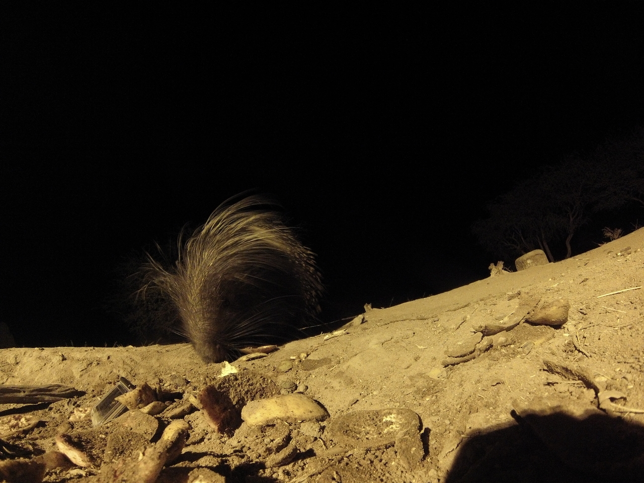 [11412] 2016_06_23_20_00_48_Africa_Hero3-Silver_Edition_IMG__01441.jpg