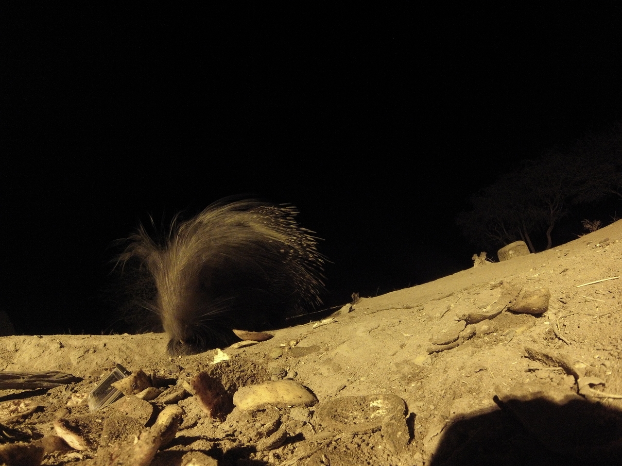 [11418] 2016_06_23_20_00_56_Africa_Hero3-Silver_Edition_IMG__00049.jpg