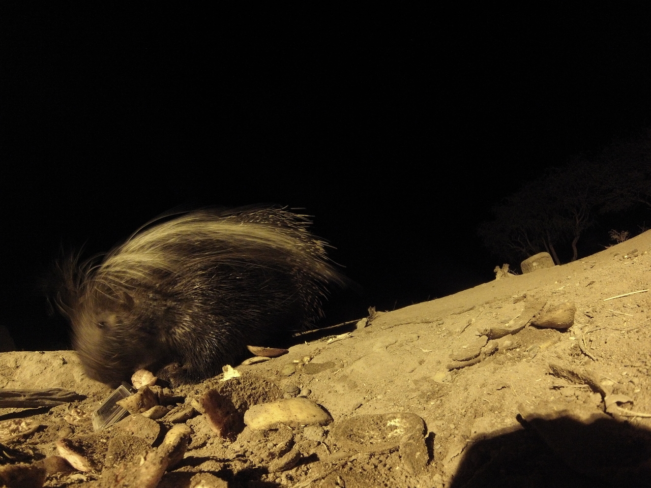 [11466] 2016_06_23_20_01_34_Africa_Hero3-Silver_Edition_IMG__01453.jpg