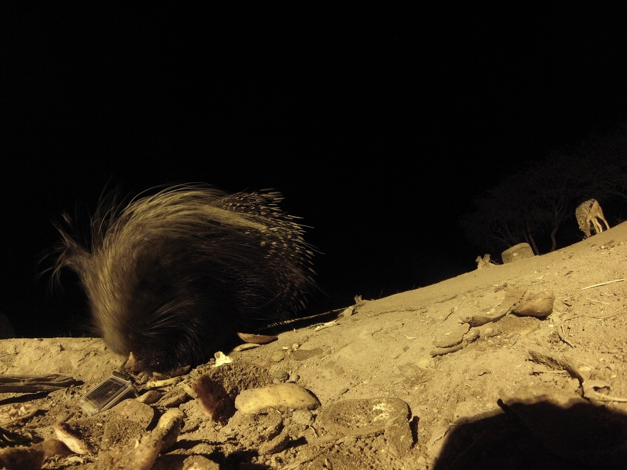 [11512] 2016_06_23_20_02_08_Africa_Hero3-Silver_Edition_IMG__01016.jpg