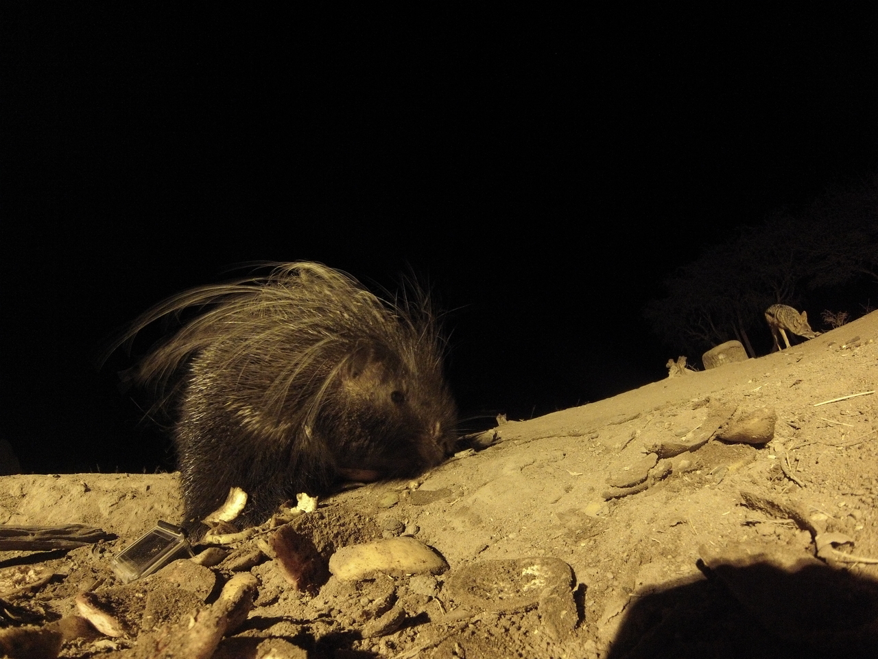 [11531] 2016_06_23_20_02_22_Africa_Hero3-Silver_Edition_IMG__01468.jpg