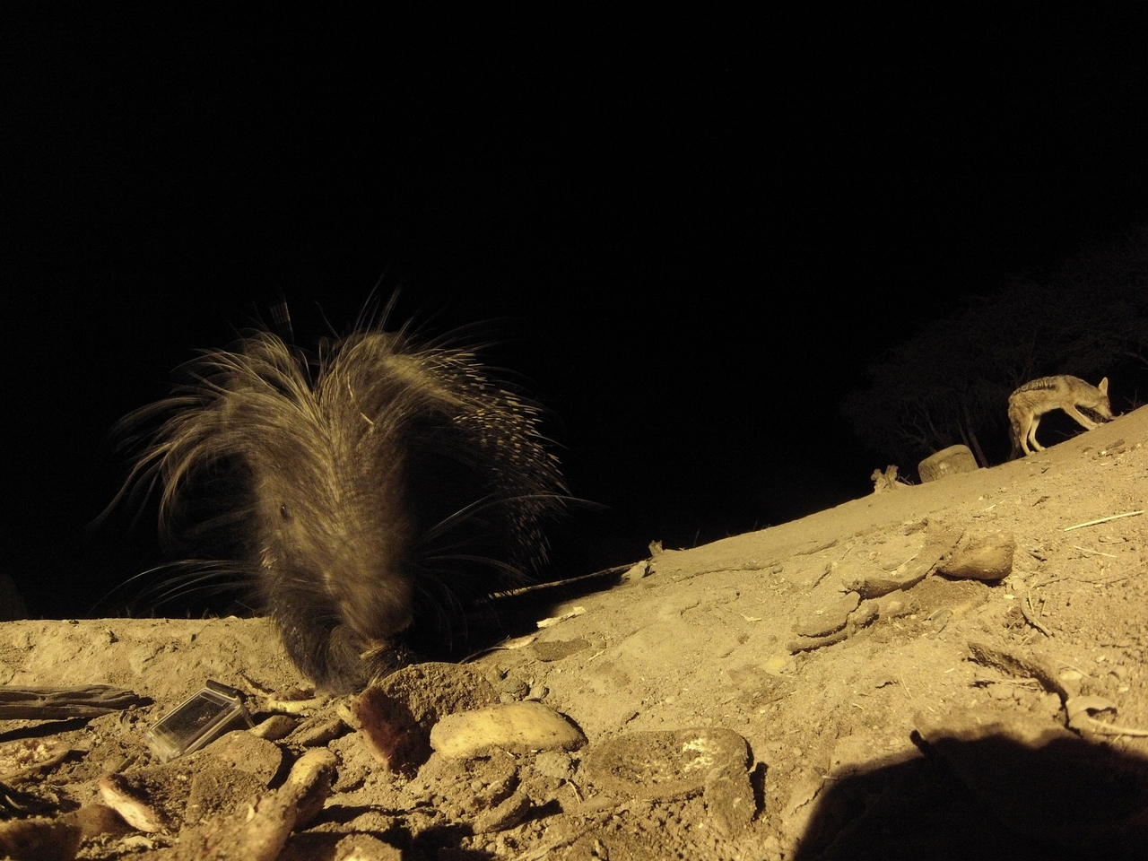 [11537] 2016_06_23_20_02_30_Africa_Hero3-Silver_Edition_IMG__00076.jpg