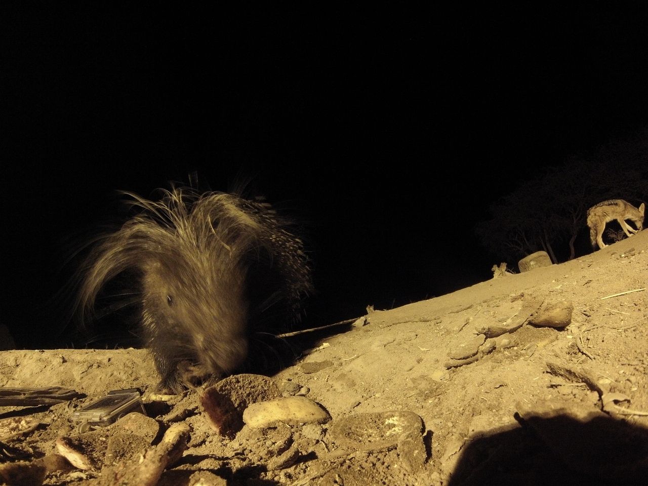 [11550] 2016_06_23_20_02_41_Africa_Hero3-Silver_Edition_IMG__00079.jpg