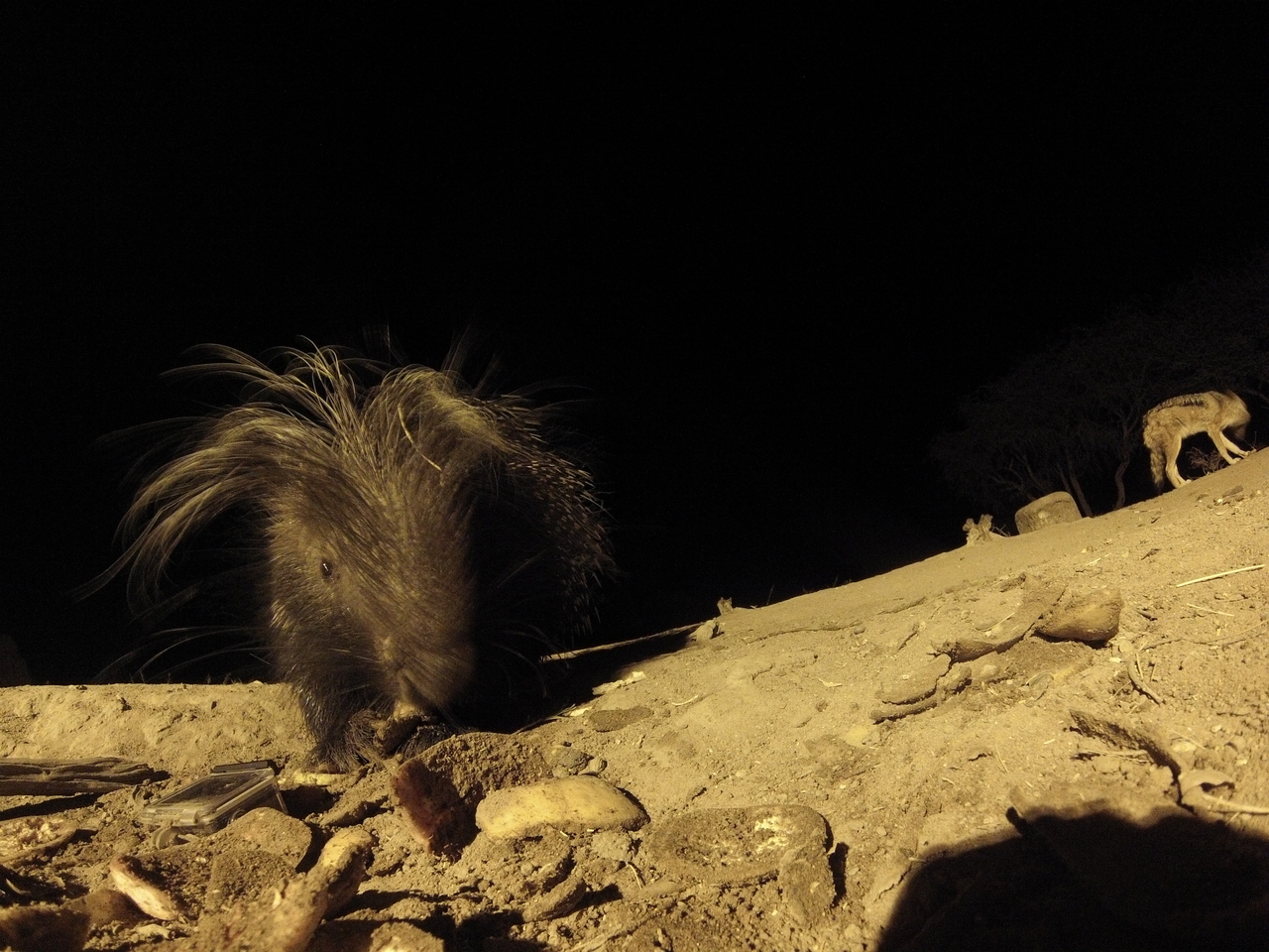 [11557] 2016_06_23_20_02_44_Africa_Hero3-Silver_Edition_IMG__01474.jpg