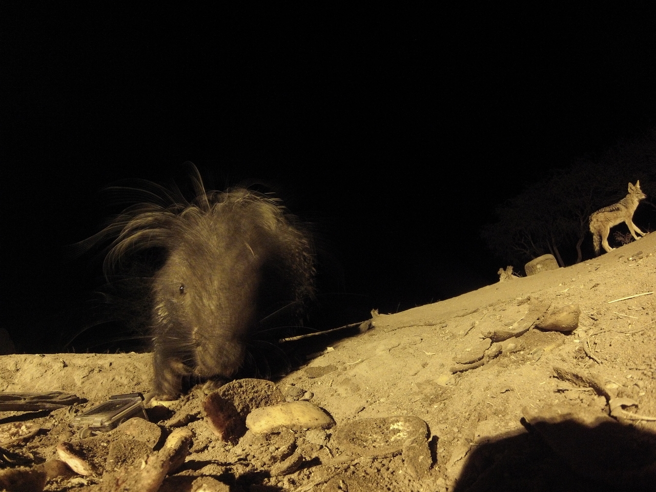 [11566] 2016_06_23_20_02_52_Africa_Hero3-Silver_Edition_IMG__01028.jpg