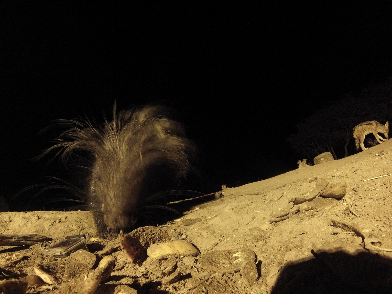 [11574] 2016_06_23_20_02_58_Africa_Hero3-Silver_Edition_IMG__01030.jpg