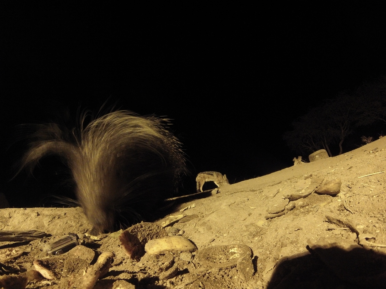 [11616] 2016_06_23_20_03_32_Africa_Hero3-Silver_Edition_IMG__01487.jpg