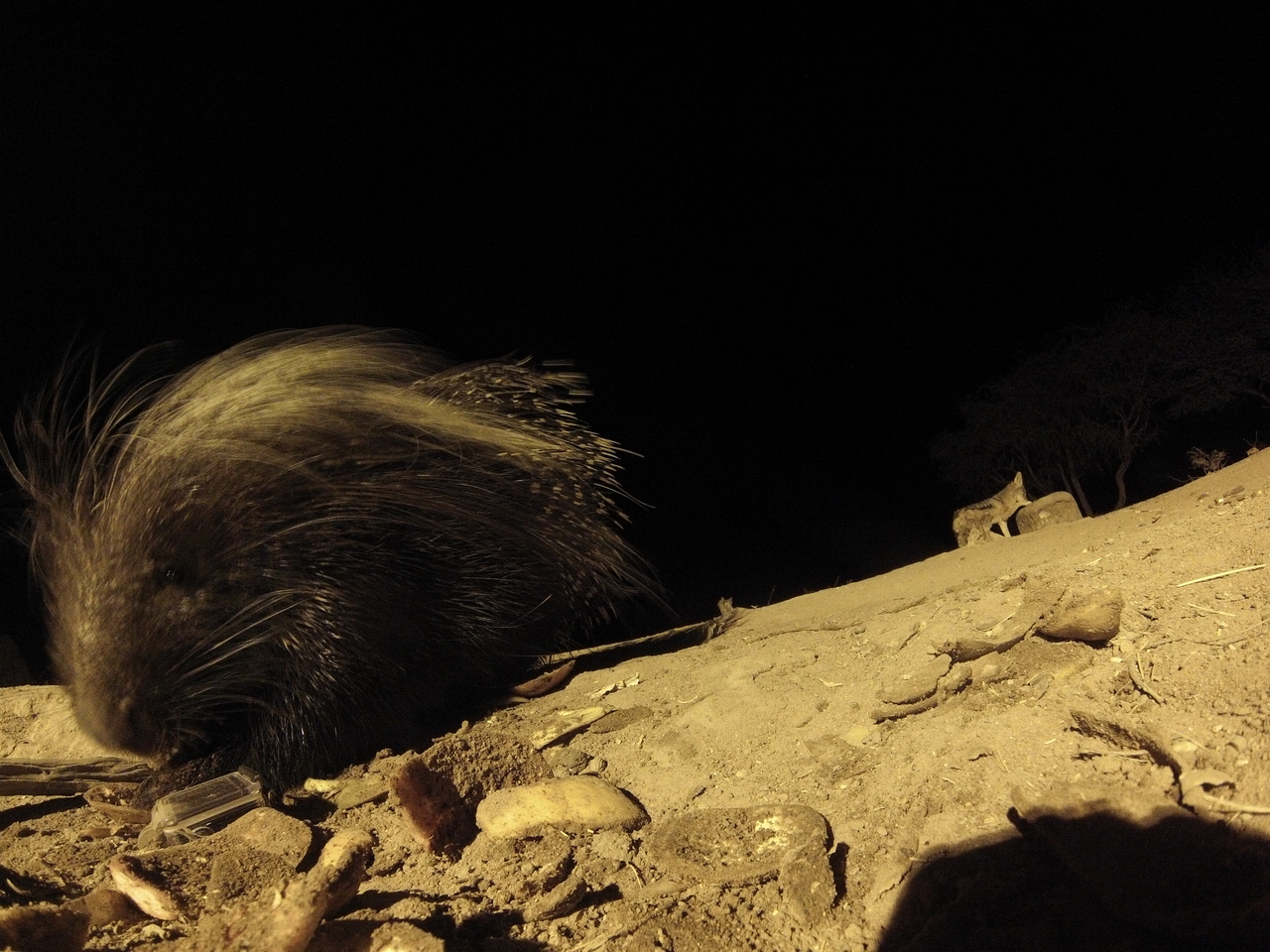 [11646] 2016_06_23_20_03_58_Africa_Hero3-Silver_Edition_IMG__01046.jpg