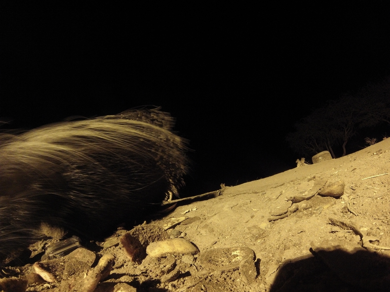 [11699] 2016_06_23_20_04_44_Africa_Hero3-Silver_Edition_IMG__00112.jpg