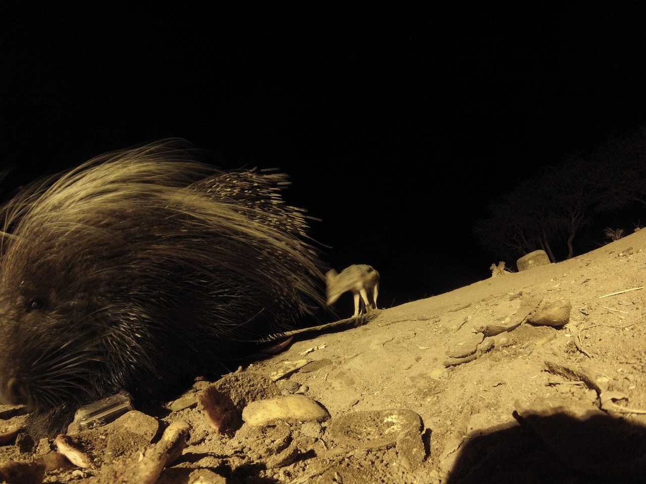 [11713] 2016_06_23_20_04_56_Africa_Hero3-Silver_Edition_IMG__01061.jpg