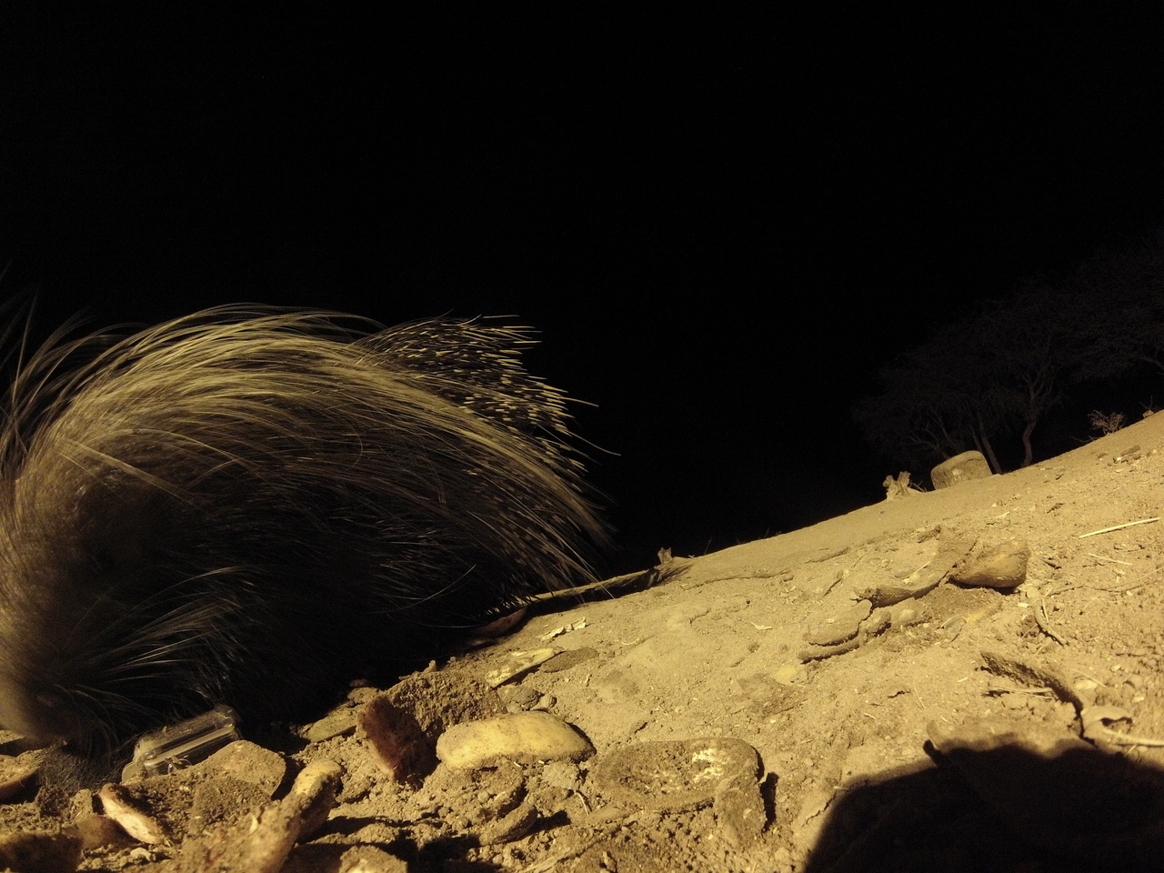 [11735] 2016_06_23_20_05_12_Africa_Hero3-Silver_Edition_IMG__00120.jpg