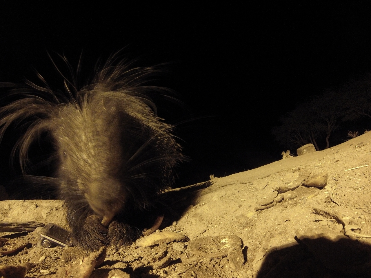 [11787] 2016_06_23_20_05_55_Africa_Hero3-Silver_Edition_IMG__00132.jpg