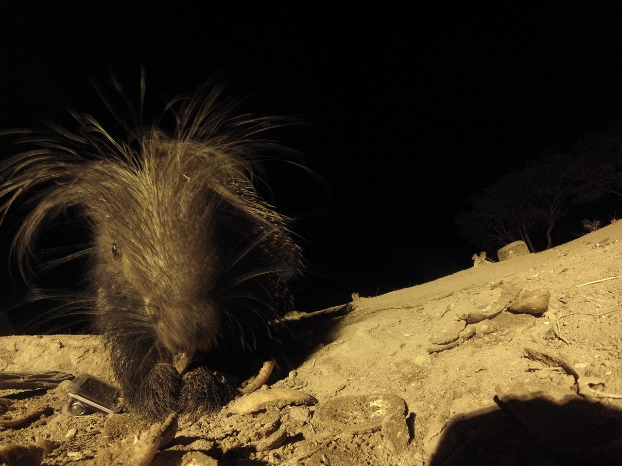 [11793] 2016_06_23_20_05_58_Africa_Hero3-Silver_Edition_IMG__01079.jpg