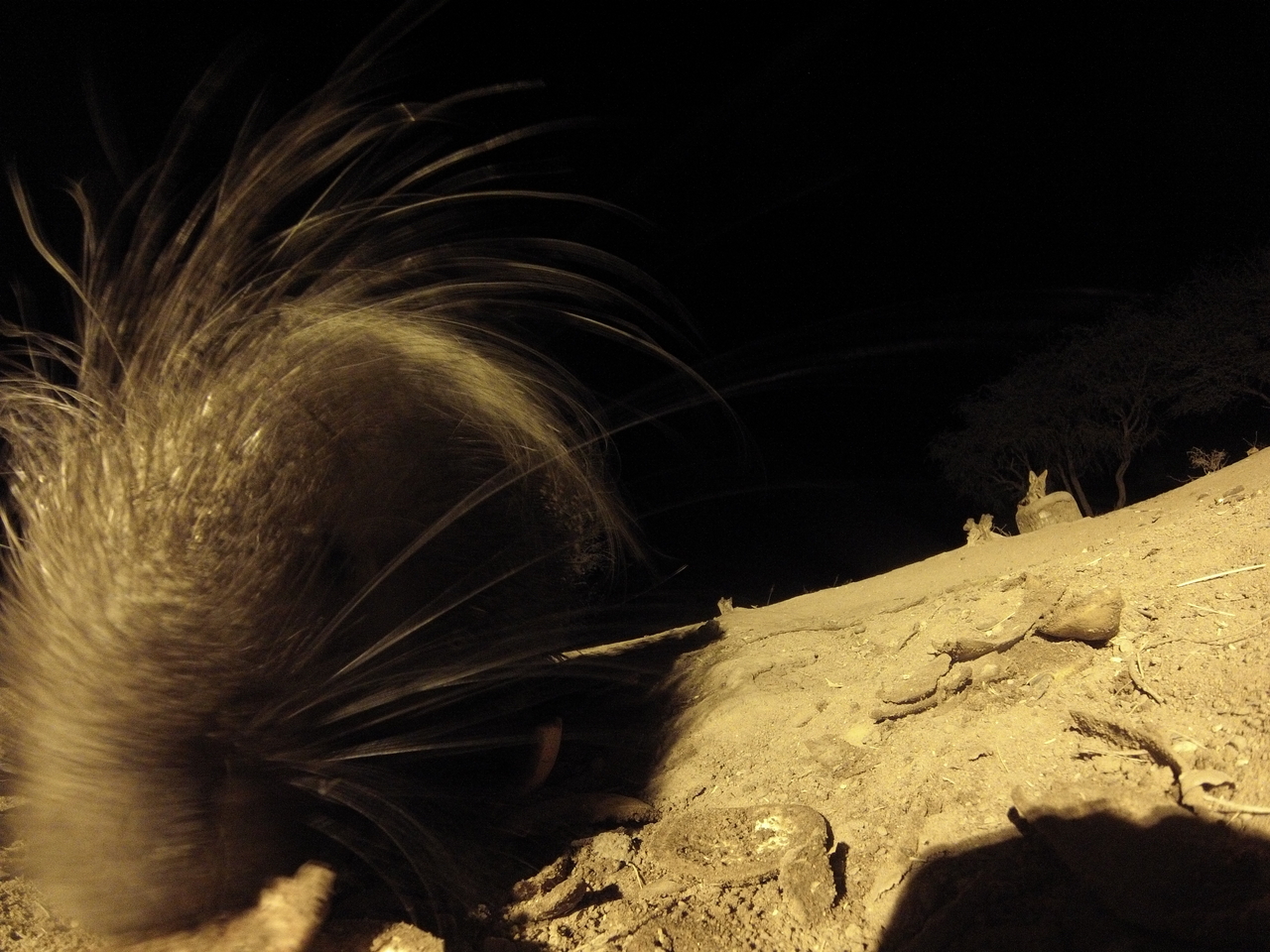 [11862] 2016_06_23_20_06_57_Africa_Hero3-Silver_Edition_IMG__01094.jpg