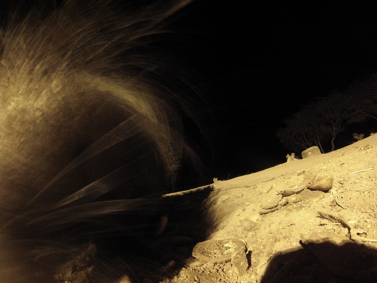 [11902] 2016_06_23_20_07_33_Africa_Hero3-Silver_Edition_IMG__00157.jpg