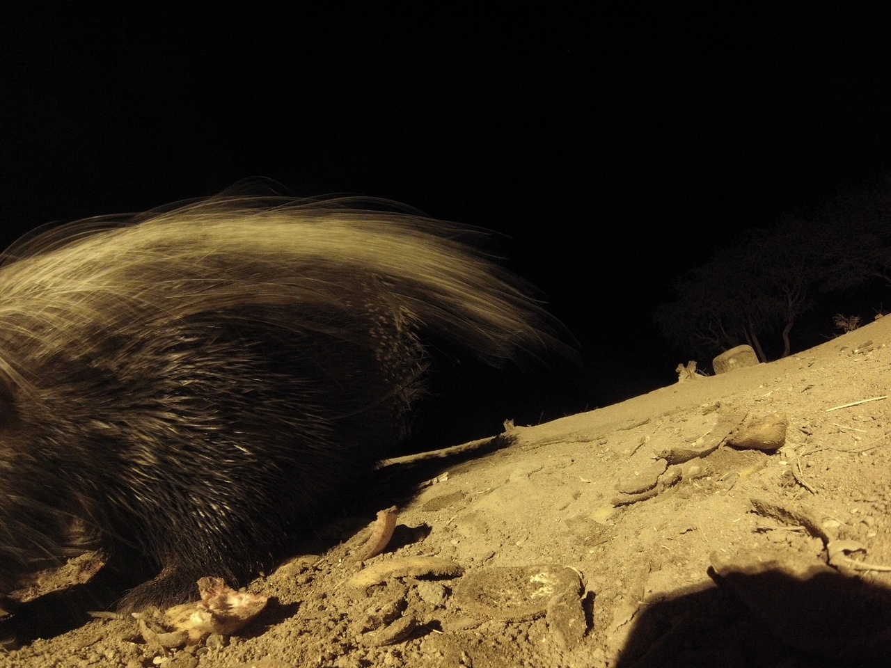 [11928] 2016_06_23_20_07_56_Africa_Hero3-Silver_Edition_IMG__00163.jpg