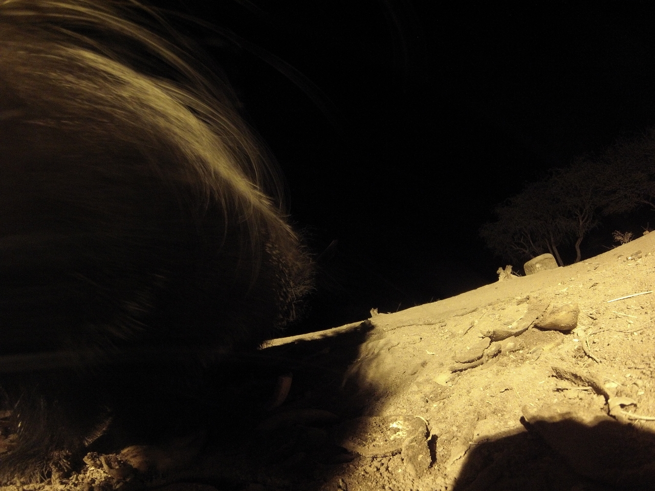 [11934] 2016_06_23_20_08_01_Africa_Hero3-Silver_Edition_IMG__01110.jpg